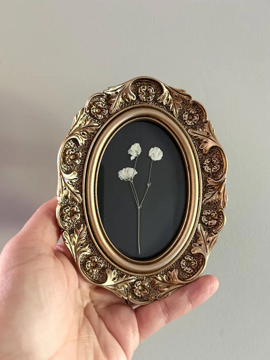 Vintage-Inspired Pressed Babies Breath Flowers in Gold Ornate Frame
